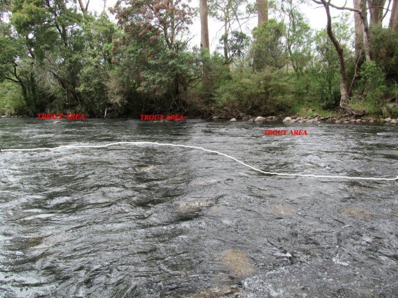 Good trout water of the Meander (Medium).jpg