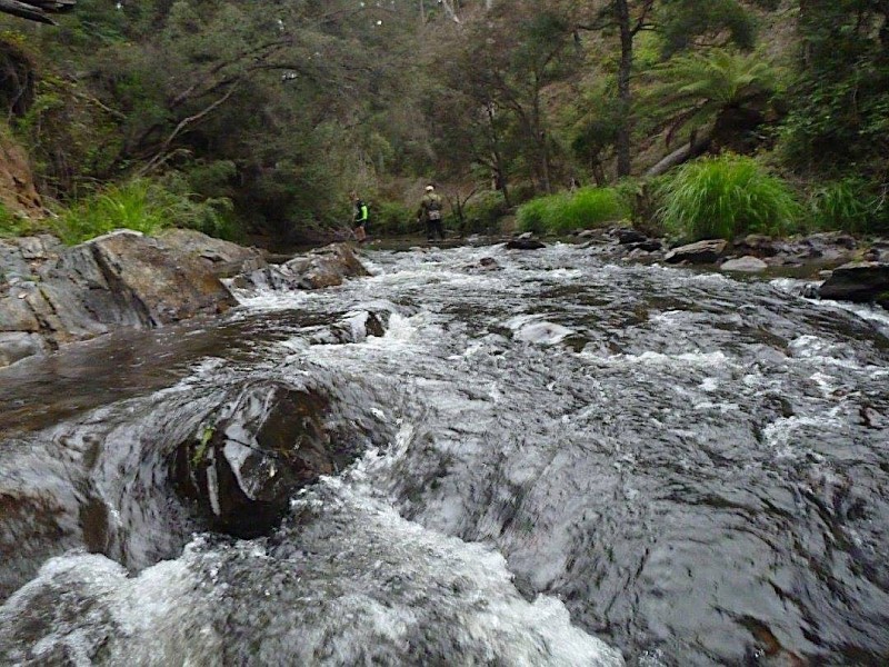 Taponga River Feb 2017-28.jpg