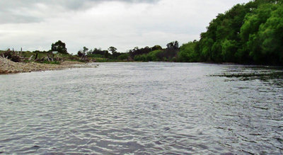 Mersey River, Merseylea..5023 (Medium).JPG