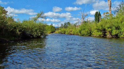 Mersey River, Kimberley. 13-2-18 (Medium).JPG