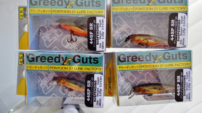 Greedy Guts 6515 (Medium).JPG