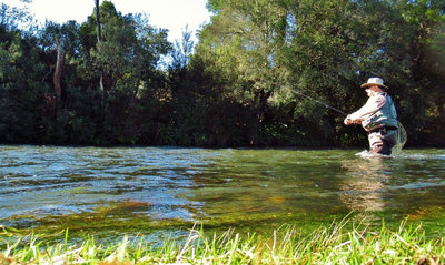 About to cast the Mepps spinner, Meander River.. (Medium).JPG