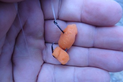 carrot 60.jpg