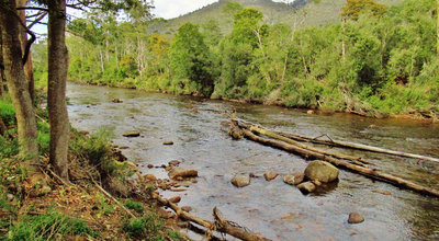 Looking upstream from a high point on the Leven River.  (Medium).JPG