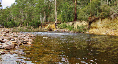 Had two follows from trout here, Leven River. (Medium).JPG