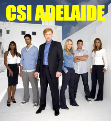 CSI Adelaide.PNG