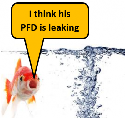 PFD leaking.PNG