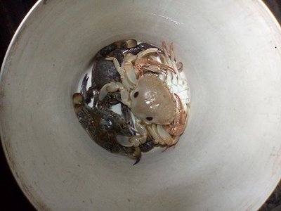 crab 1.jpg