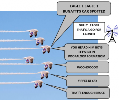 Seagull Formation poop bug.png