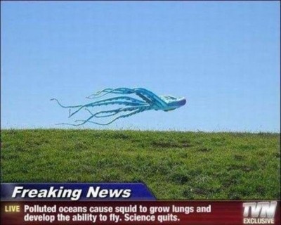 funny-news-captions-squids.jpg