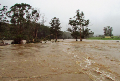Tassie Floods 2.PNG