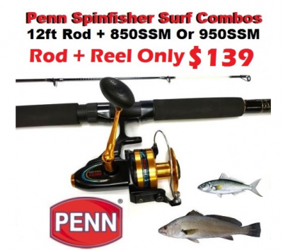 Penn Spinfisher Combo.PNG
