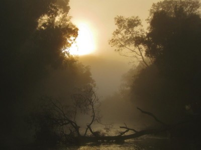 Sunrise breaking through mist, Meander River. (Medium).JPG