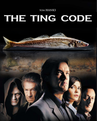 ting code 1.PNG