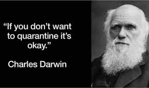 Darwin Meme.jpg