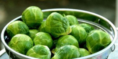 Brussel Sprouts.JPG